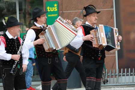 Čebela velikanka potuje po Kamniku (60)